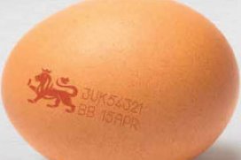 Runny eggs get the all clear for kids, pregnant women and ...