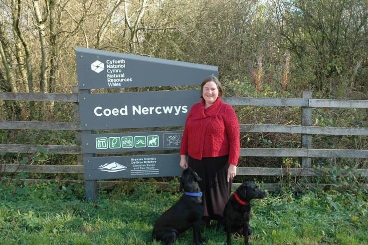 News and Info from Deeside, Flintshire, North Wales