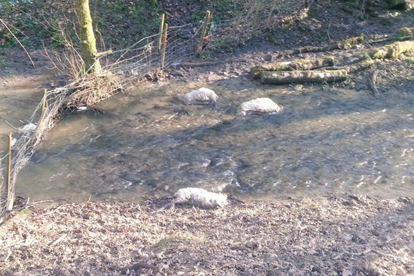 News and Info from Deeside, Flintshire, North Wales