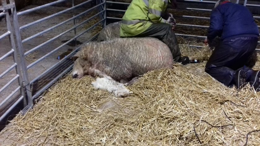 News and Info from Deeside, Flintshire, North Wales
