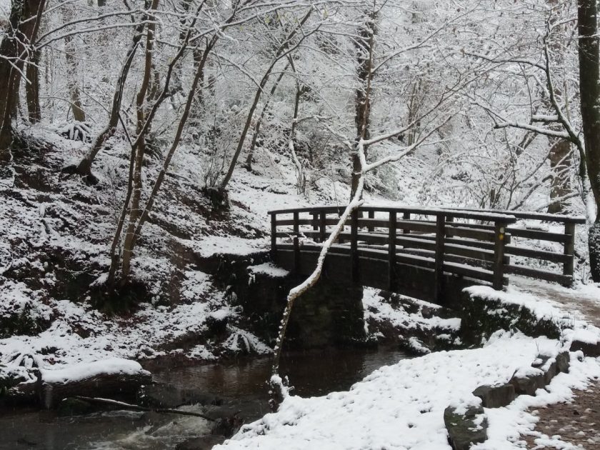News and Info from Deeside, Flintshire, North Wales