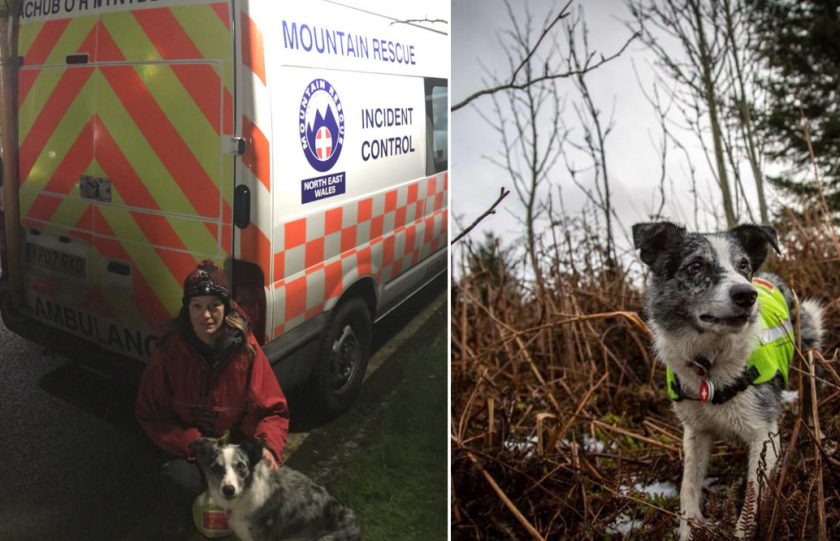 Missing person found safe and well following multi-agency search in Halkyn area on Thursday evening