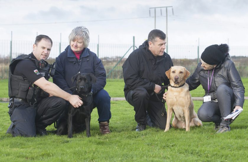 News and Info from Deeside, Flintshire, North Wales