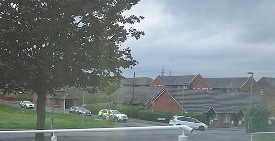 Armed police arrest man with machete in Connah’s Quay