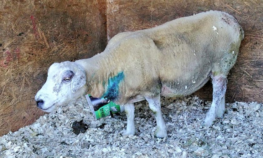 News and Info from Deeside, Flintshire, North Wales