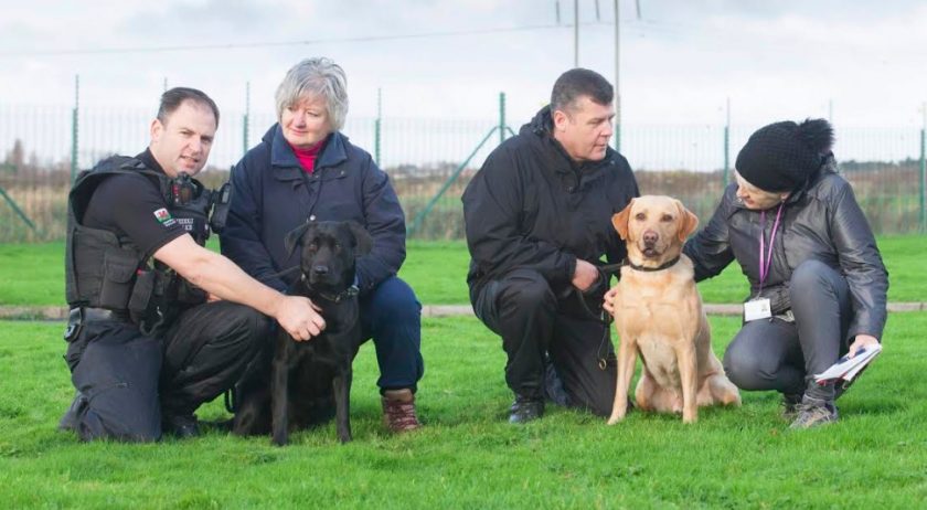 News and Info from Deeside, Flintshire, North Wales