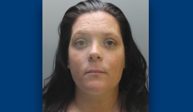 News and Info from Deeside, Flintshire, North Wales