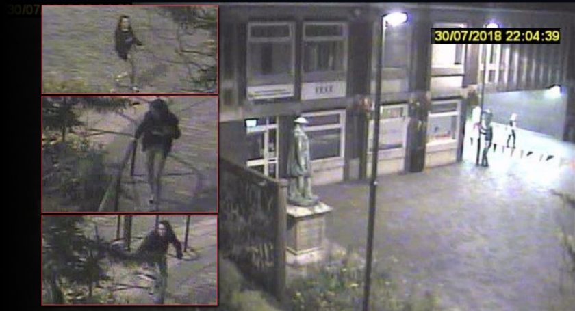 Police release CCTV images in bid to catch ‘mindless’ vandals who targeted Mold’s ‘Silent Soldier’