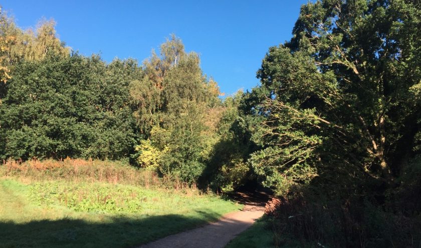 News and Info from Deeside, Flintshire, North Wales