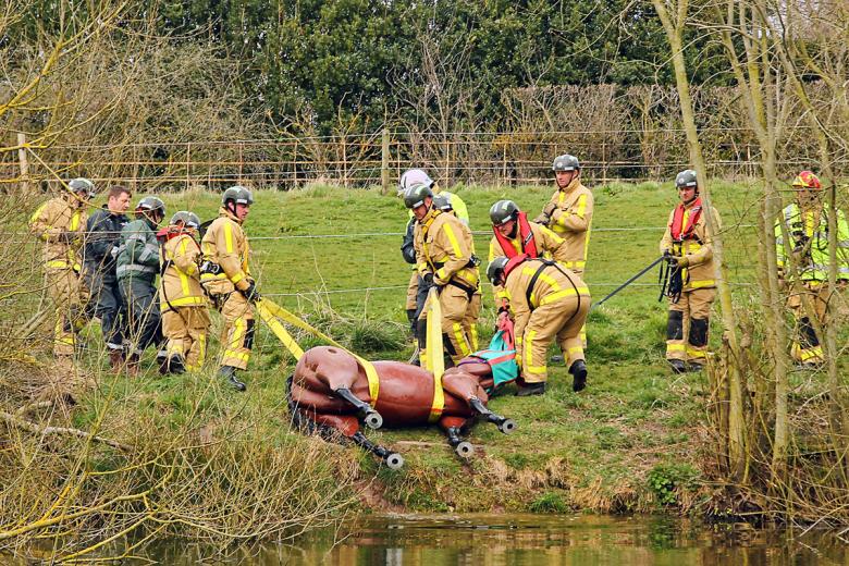 News and Info from Deeside, Flintshire, North Wales