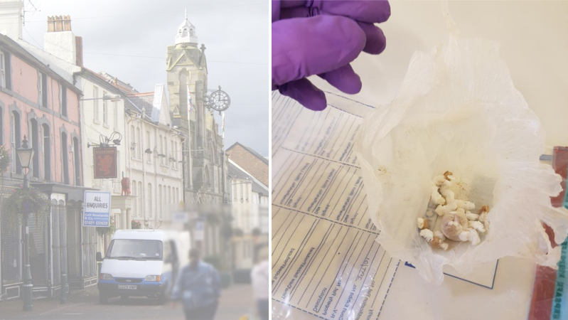 News and Info from Deeside, Flintshire, North Wales
