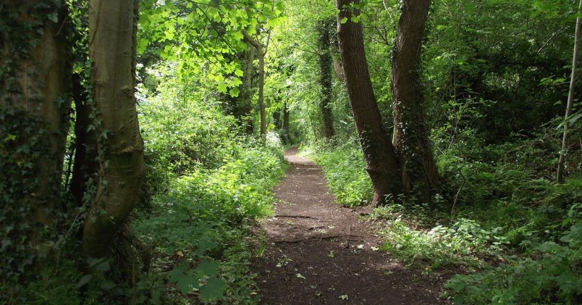 News and Info from Deeside, Flintshire, North Wales