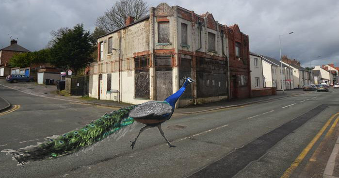 News and Info from Deeside, Flintshire, North Wales