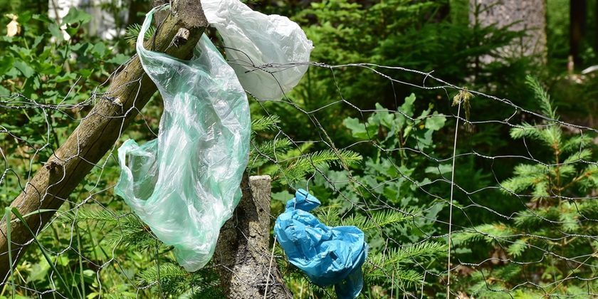 News and Info from Deeside, Flintshire, North Wales