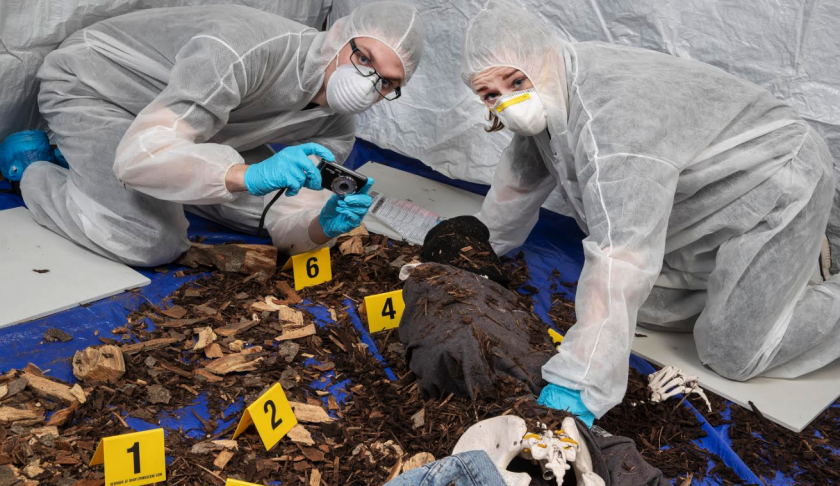 Coleg Cambria Forensic Science students amongst three national skills gold medal winners