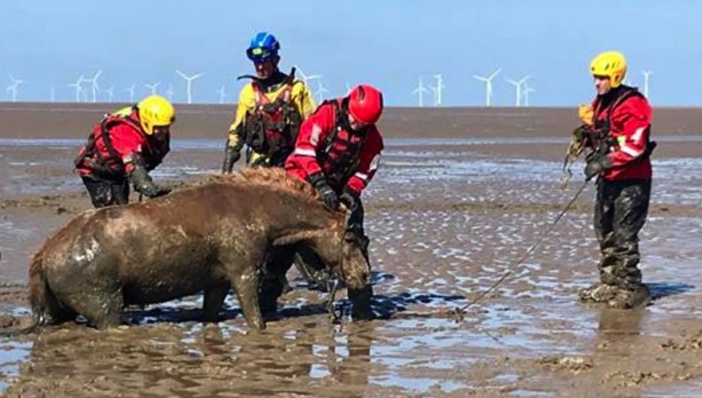 News and Info from Deeside, Flintshire, North Wales