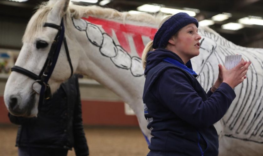 Top equine specialist Laura Clinton was at Glyndwr’s Northop campus to share skills and tips in eye-catching talk