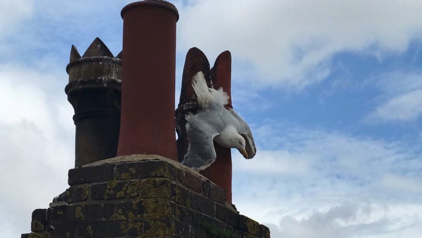 News and Info from Deeside, Flintshire, North Wales