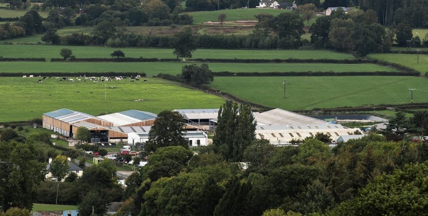 New £1.2m Coleg Cambria community education centre to open in north east Wales