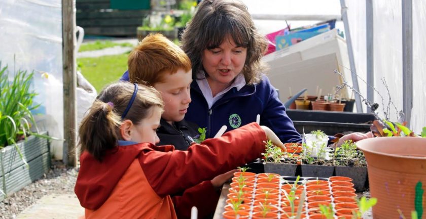News and Info from Deeside, Flintshire, North Wales