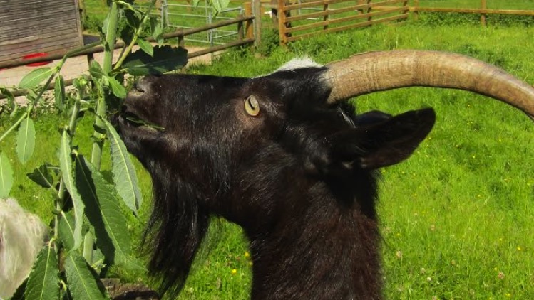 News and Info from Deeside, Flintshire, North Wales