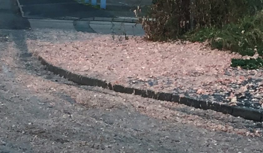 News and Info from Deeside, Flintshire, North Wales