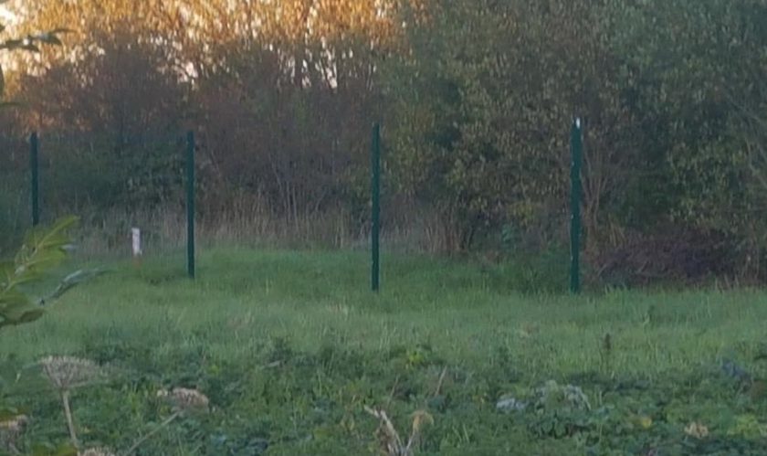 News and Info from Deeside, Flintshire, North Wales