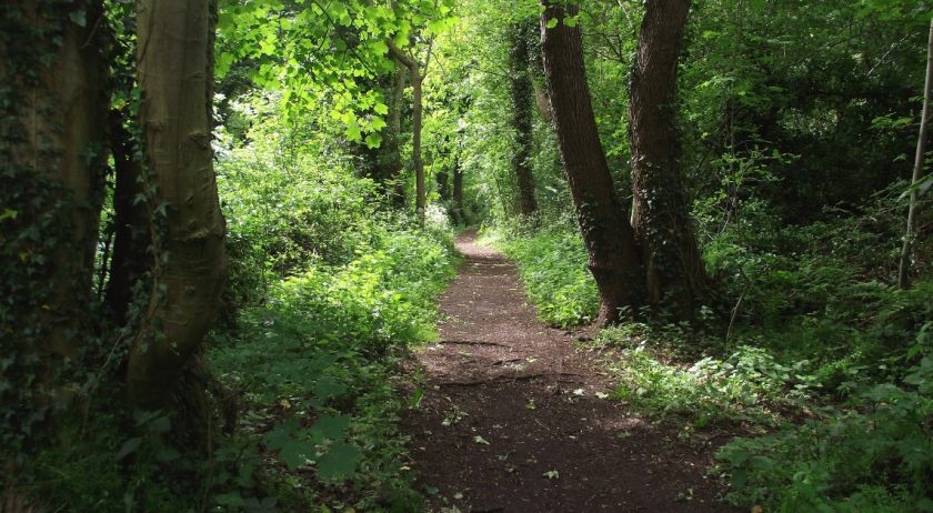 News and Info from Deeside, Flintshire, North Wales