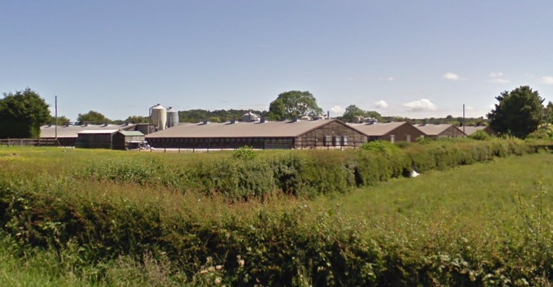 News and Info from Deeside, Flintshire, North Wales