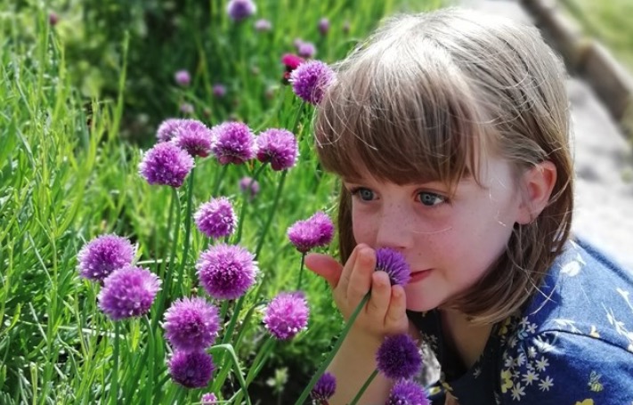 News and Info from Deeside, Flintshire, North Wales