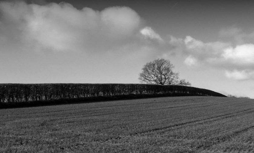 News and Info from Deeside, Flintshire, North Wales