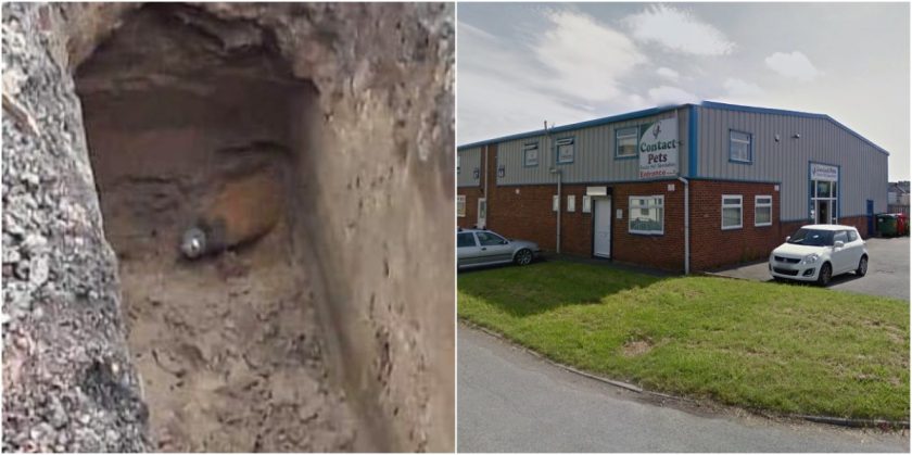 Deeside Industrial Estate pet store reopens following earlier evacuation after ordnance shell found on car park