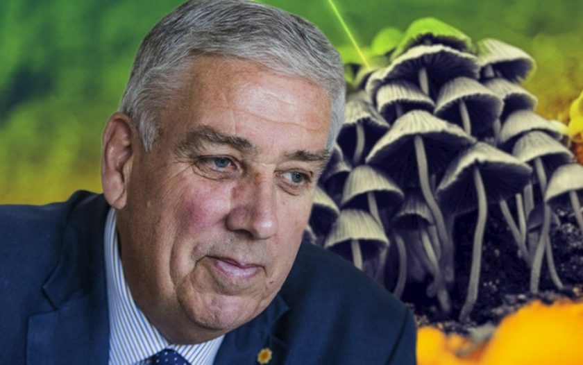 Magic mushrooms could avert looming mental health crisis, says North Wales Police and Crime Commissioner Arfon Jones