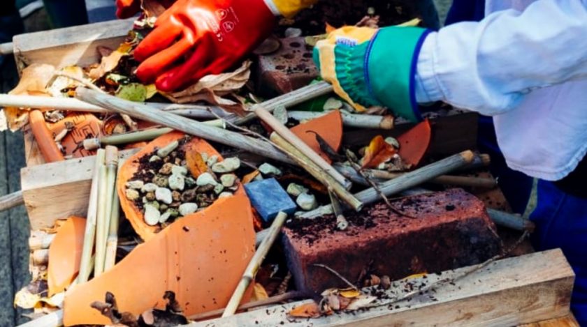 Keep Wales Tidy’s Local Places for Nature scheme: Time running out for communities to apply for free garden packs