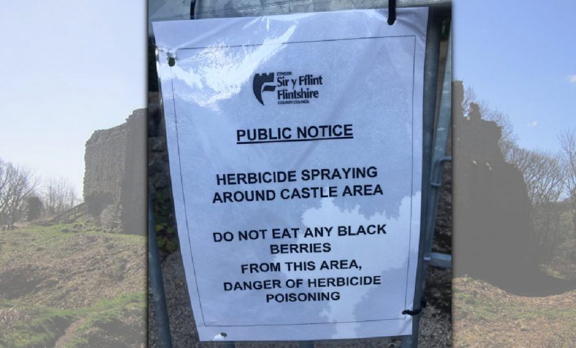 News and Info from Deeside, Flintshire, North Wales