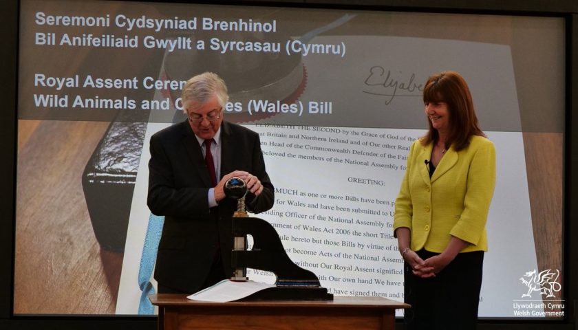 News and Info from Deeside, Flintshire, North Wales