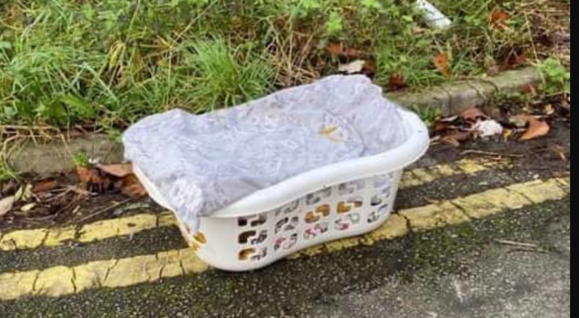 News and Info from Deeside, Flintshire, North Wales