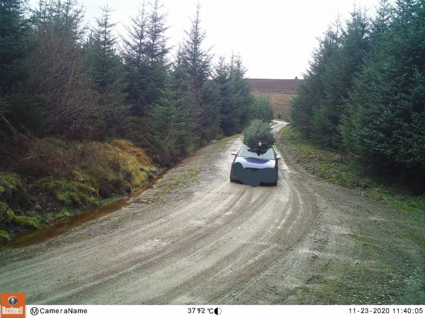 News and Info from Deeside, Flintshire, North Wales