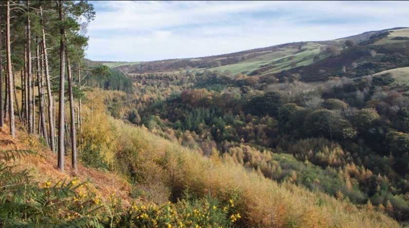News and Info from Deeside, Flintshire, North Wales
