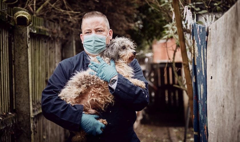 RSPCA rescuers on the road as usual during Christmas and New Year lockdown