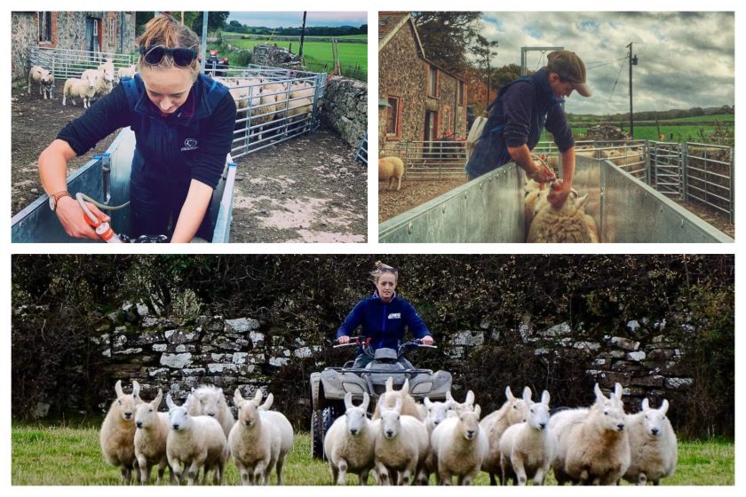 News and Info from Deeside, Flintshire, North Wales