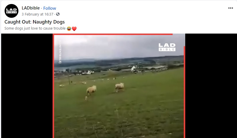 News and Info from Deeside, Flintshire, North Wales