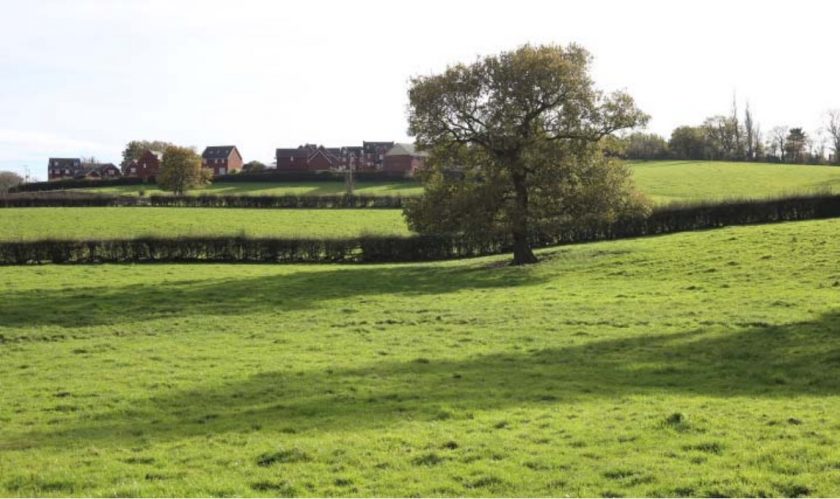 News and Info from Deeside, Flintshire, North Wales