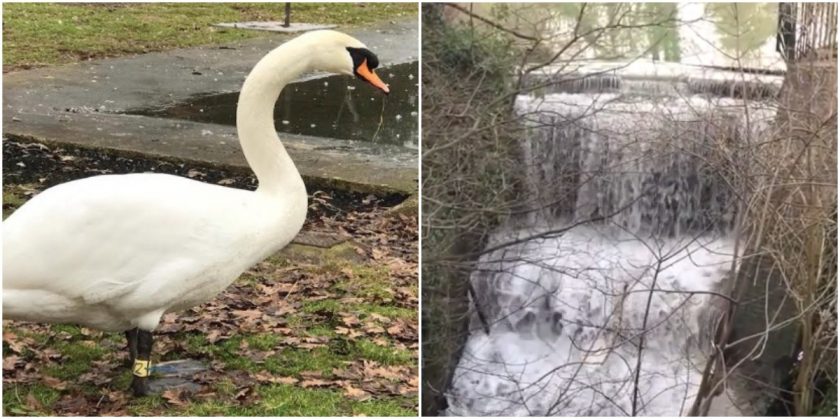 News and Info from Deeside, Flintshire, North Wales