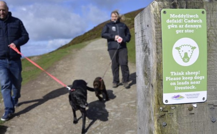 News and Info from Deeside, Flintshire, North Wales