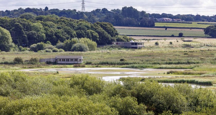 National Lottery players get lucky with free Open Week offer at RSPB Burton Mere Wetlands