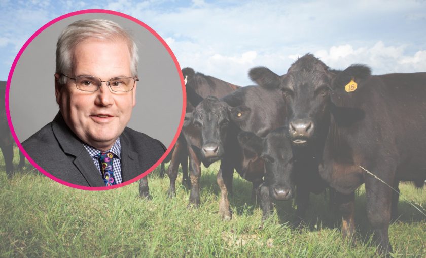 New UK – Australia trade deal, Mark Tami “very concerned” about impact on Flintshire farmers