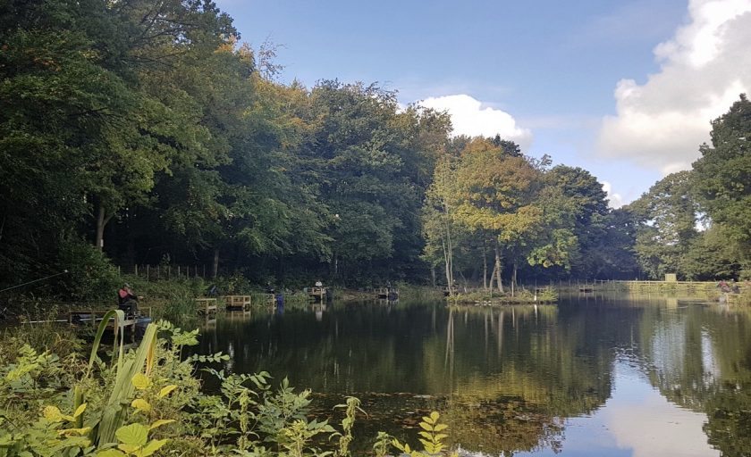 News and Info from Deeside, Flintshire, North Wales