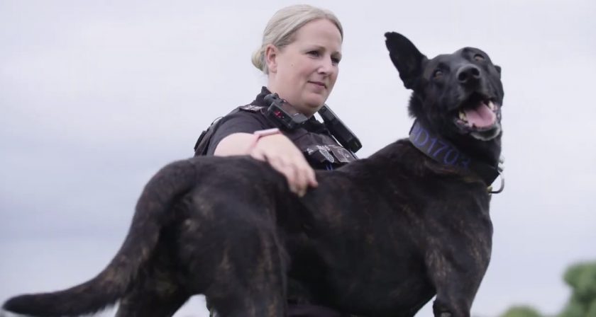 News and Info from Deeside, Flintshire, North Wales