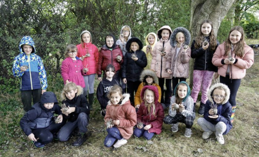 News and Info from Deeside, Flintshire, North Wales